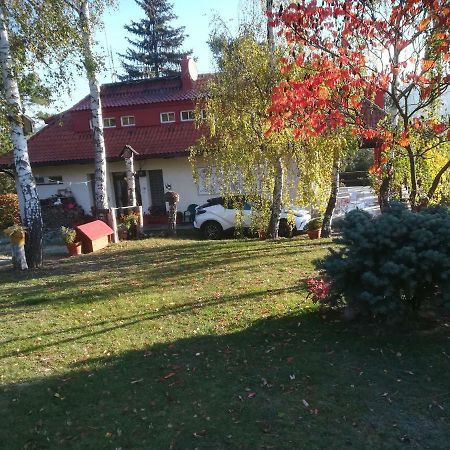 Villa Blanka Horni Podkozi Экстерьер фото